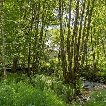 Gîte Nature Vitrac-sur-Montane Extérieur photo