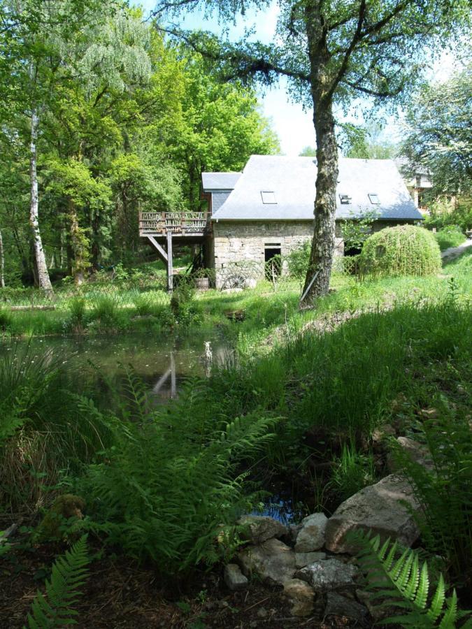 Gîte Nature Vitrac-sur-Montane Extérieur photo