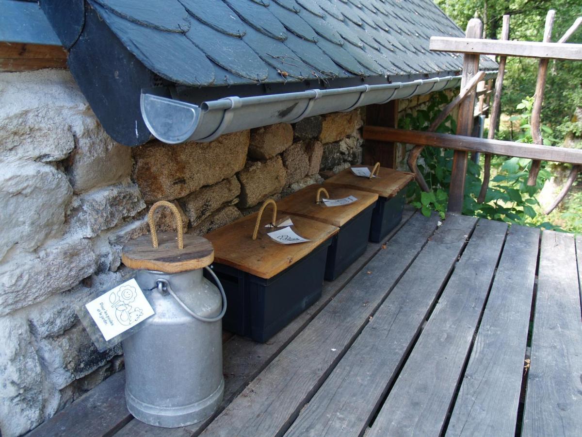Gîte Nature Vitrac-sur-Montane Extérieur photo