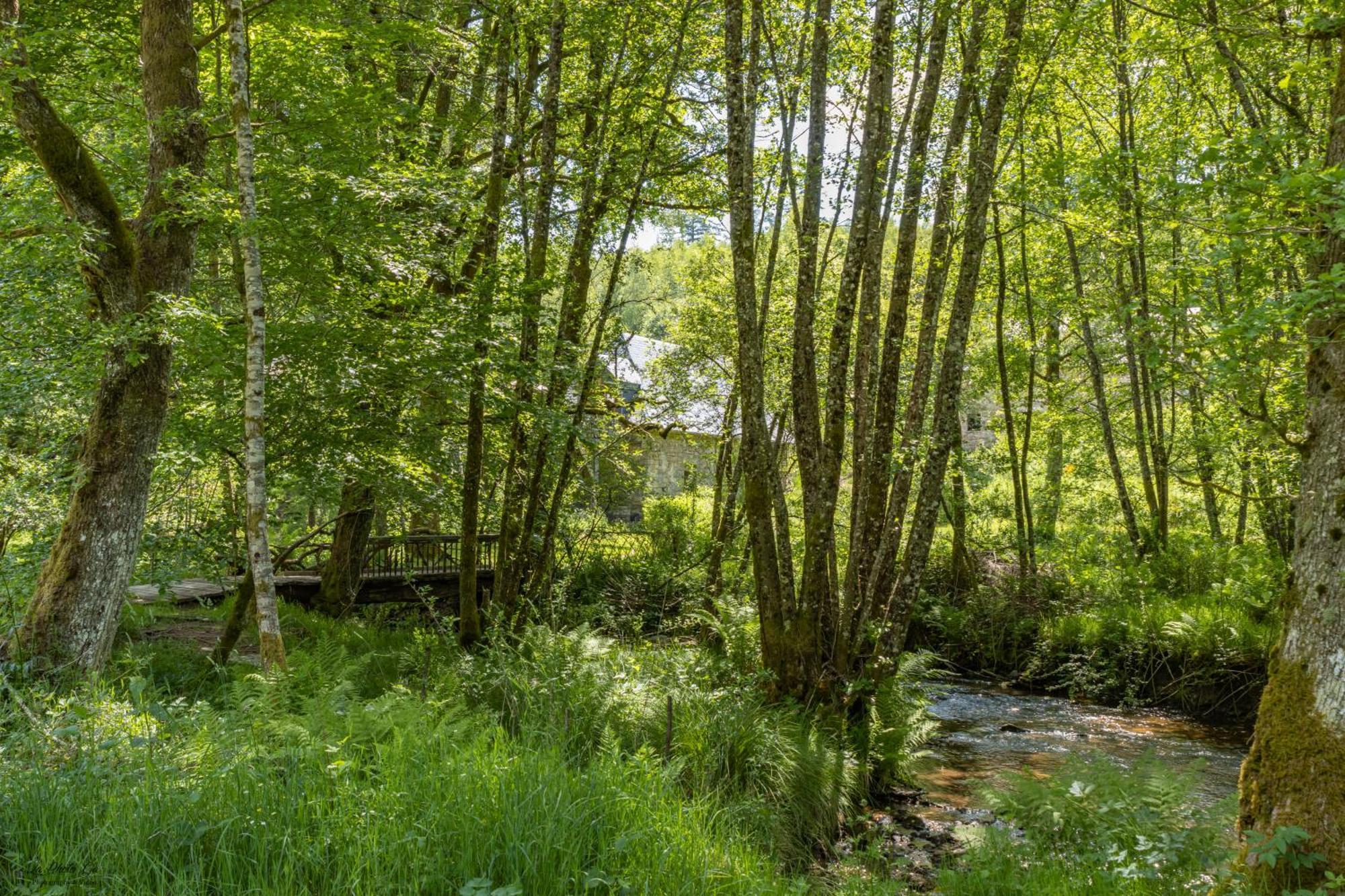 Gîte Nature Vitrac-sur-Montane Extérieur photo