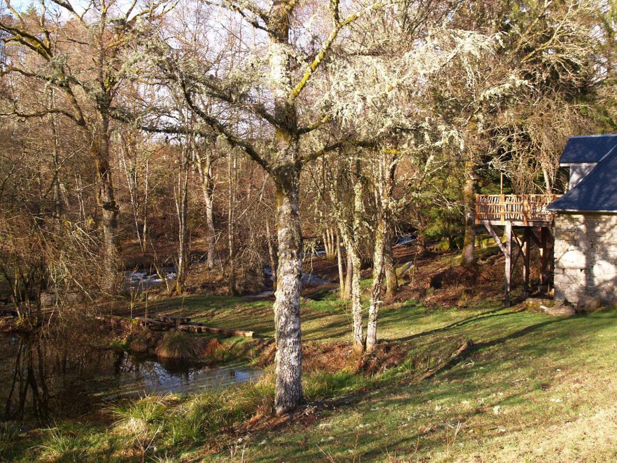 Gîte Nature Vitrac-sur-Montane Extérieur photo